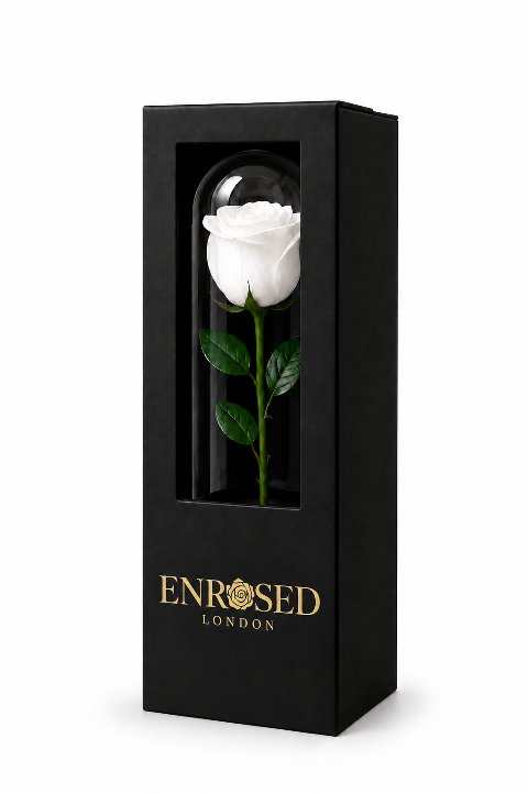 Weiße Rose unter einer 7 × 23 cm großen Kuppel, in einer schwarzen Geschenkbox mit Sichtfenster und goldenem ENROSED LONDON-Logo.