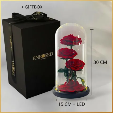 Drie geconserveerde Rozen in Stolp 30cm — product view 2