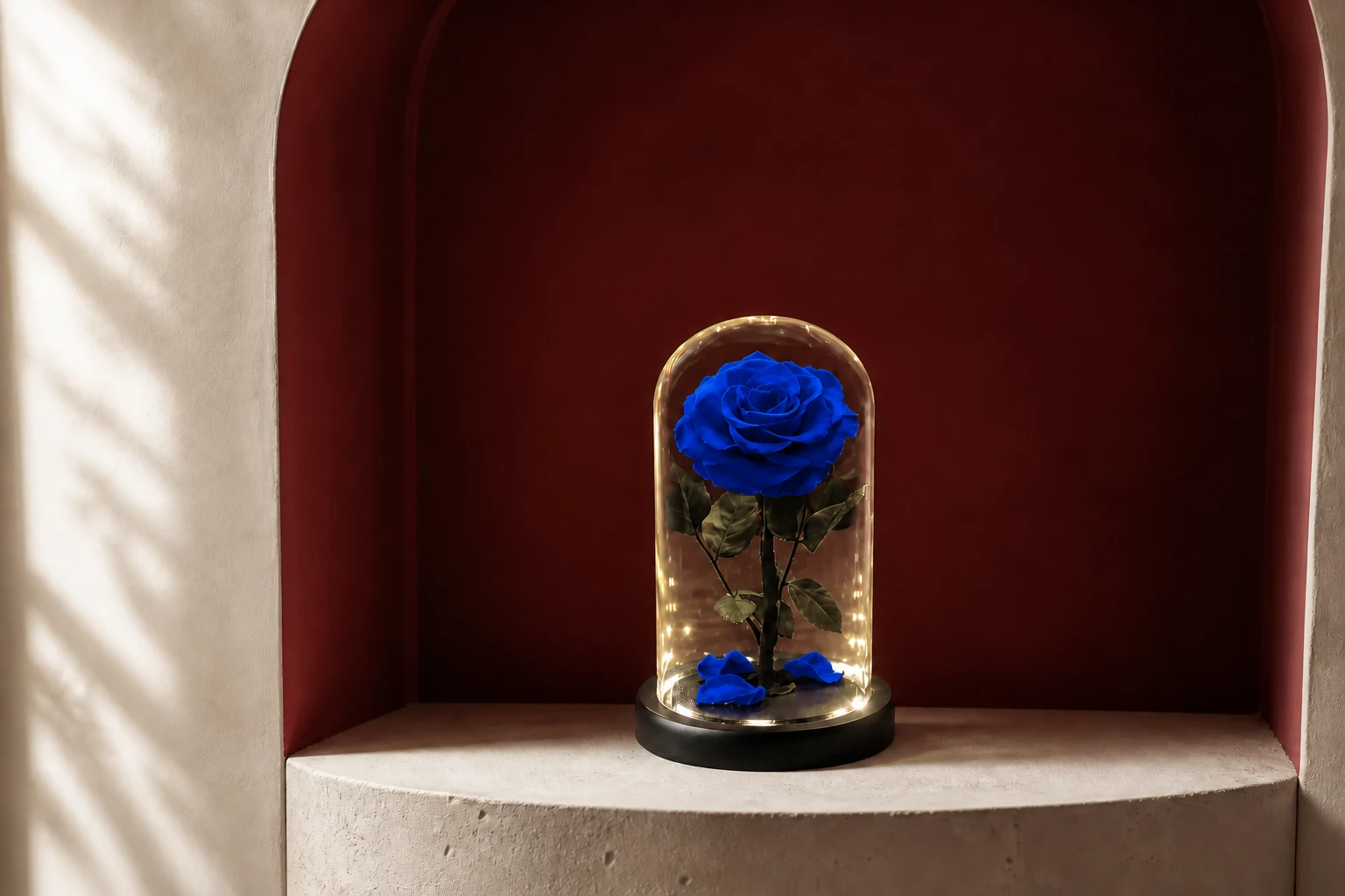 Preserved Rose in 20 cm Glass Dome — Navy; wide product photo in the Enrosed showroom