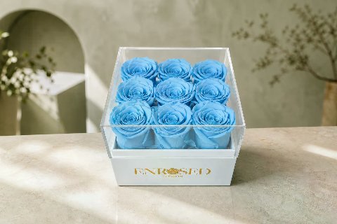 9 Preserved Roses Flowerbox — Light Blue; wide product photo in the Enrosed showroom
