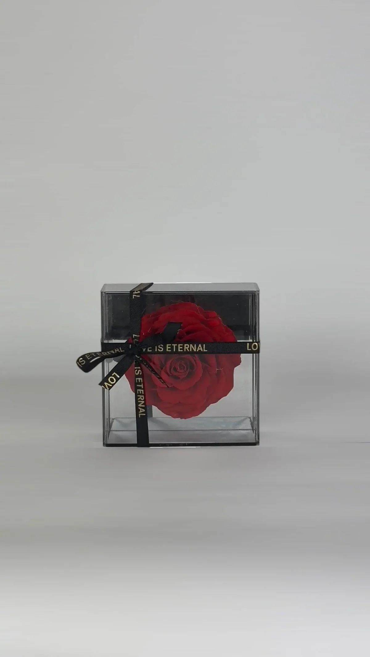 Rose on Mirrored Base — Image 2 of 3