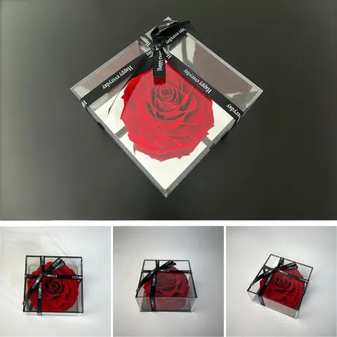 Rose on Mirrored Base in Red
